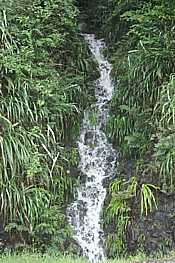 st lucia roadside waterfall 2.jpg (74948 bytes)